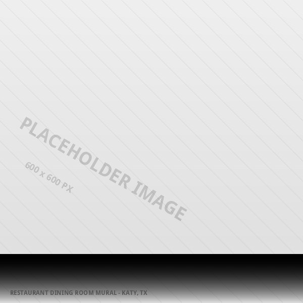 Placeholder image - to be replaced with real Sign of America project photography (Restaurant dining room mural - Katy, TX)