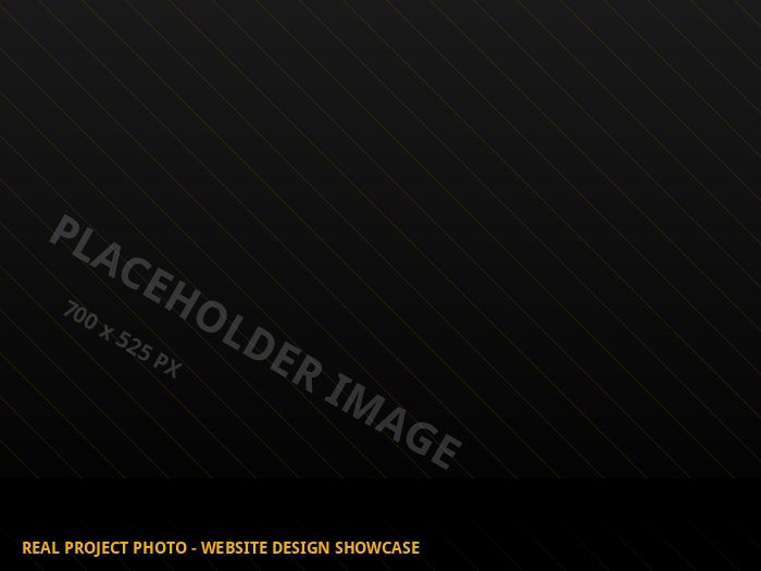 Placeholder image - to be replaced with real Sign of America project photography (Real project photo - website design showcase)